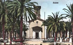 ARZEW 313